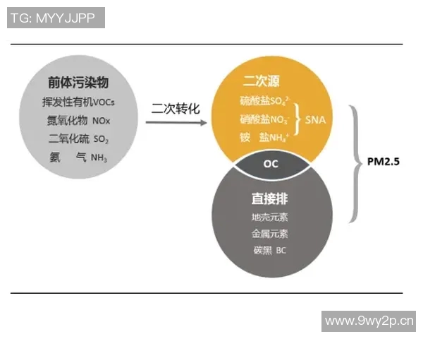 杭州极限运动队实力分析与发展前景探讨 杭州极限运动队实力分析与发展前景探讨